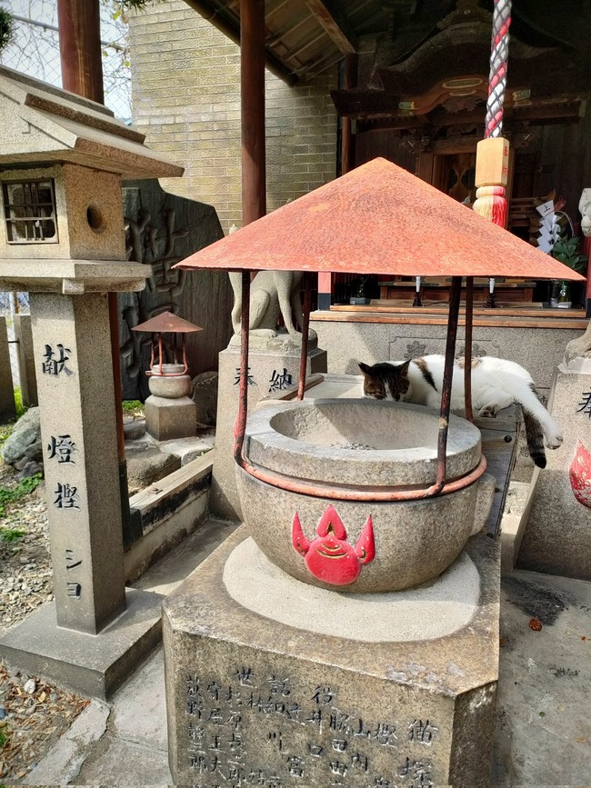 ���� ϩ�� ǭ ƻ���� ���� ��ǵ�������� ǭ�� ��̣�� ���ܤ˴�Ϣ��������-07