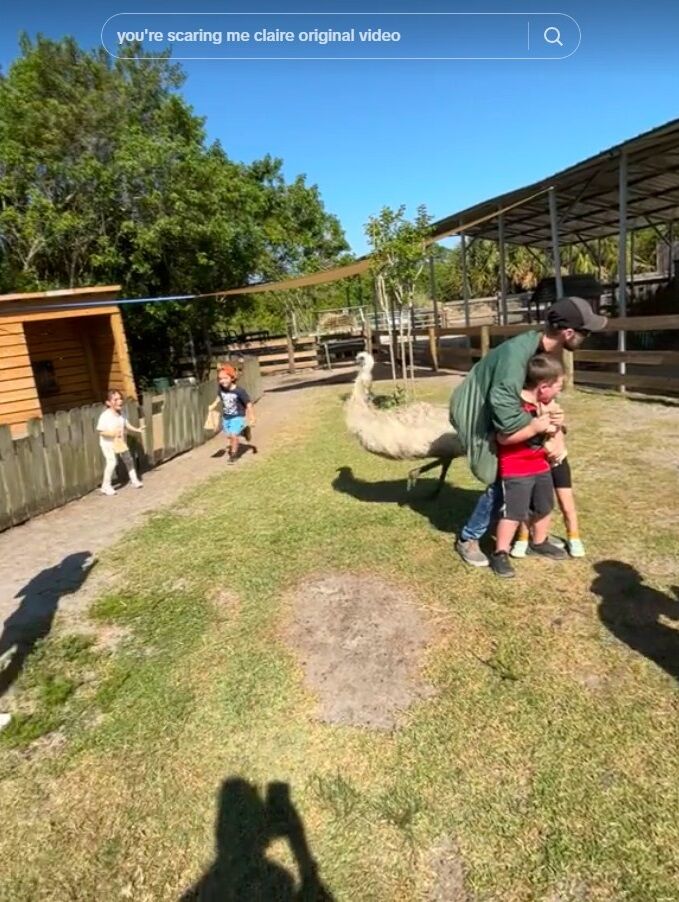 ���� ���ߥ塼 �����祦 �Ҷ� �ɤ������ä� ���ݤ˴�Ϣ��������-08