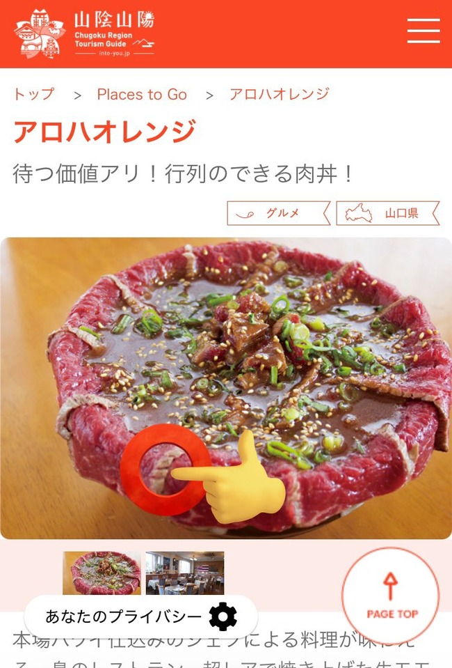 レアステーキ丼 食中毒 O157 営業停止 アロハオレンジ 山口県周防大島町に関連した画像-04