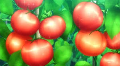 サラダ 野菜に関連した画像-01