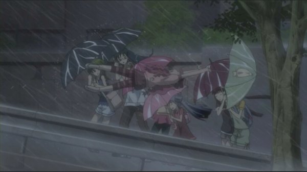 韓国　ユーチューバー　YouTuber　台風　体験　嘘　配信　法的措置　虚偽事実流布に関連した画像-01