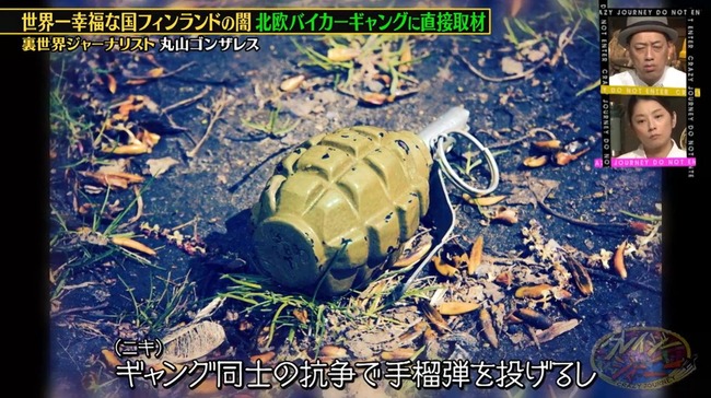 ݻ󥶥쥹쥤㡼ˡեɡ̱¡ʪ󥰡ϺȺ˴Ϣ-20