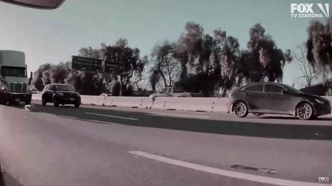 アメリカ 犬 車 高速道路 走行中 飛び出し ダイブに関連した画像-07