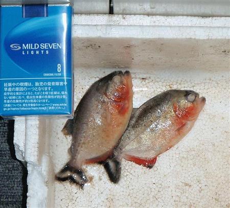 trd12050122360014-p1