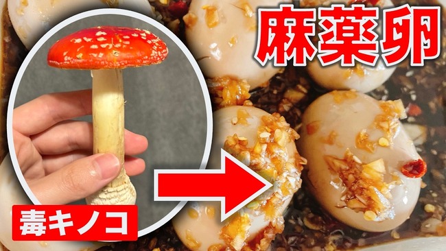 YouTuber ラムダ技術部 毒キノコ ベニテングダケ イボテン酸 旨味成分 グルタミン酸 化学構造 酷似 煮卵 麻薬卵 激ウマに関連した画像-01