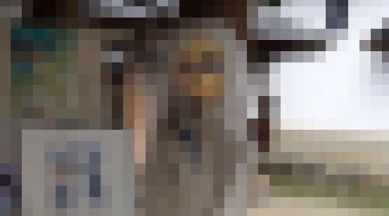 閲覧注意 決して見つかってはいけない あの花 等身大めんまが見つかってしまったwwwwwwww オレ的ゲーム速報 刃 閲覧注意 決して見つかってはいけない あの花 等身大めんまが見つかってしまったwwwwwwww オレ的ゲーム速報 刃