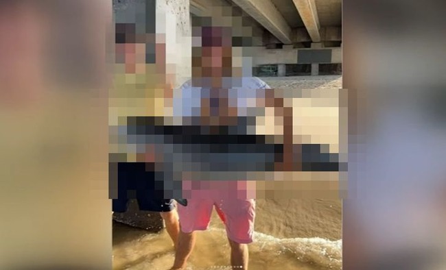 DQN　SNS　写真　自撮り　撮影　浅瀬　イルカ　赤ちゃん　息絶えるに関連した画像-01