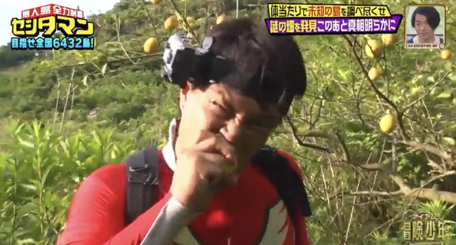 TBS　アイ・アム・冒険少年　セシタマン　レモン畑　不法侵入　窃盗に関連した画像-01