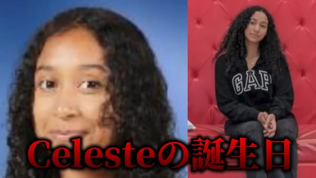 ����ꥫ d4vd ��� ���쥹�� ���� ���ΰ�� ���Ǥ˴�Ϣ��������-13