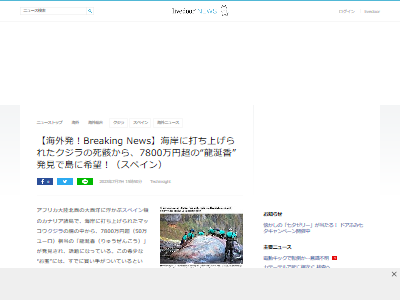 龍涎香 スペイン マッコウクジラ 腸 死骸に関連した画像-02