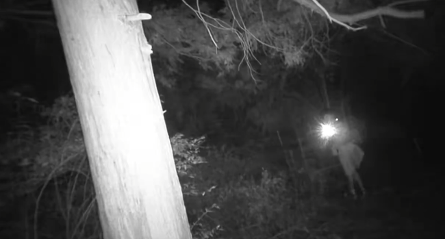 クマ 熊 箱 罠 ドア カメラ 監視カメラ ホラー 恐怖 犯人に関連した画像-05