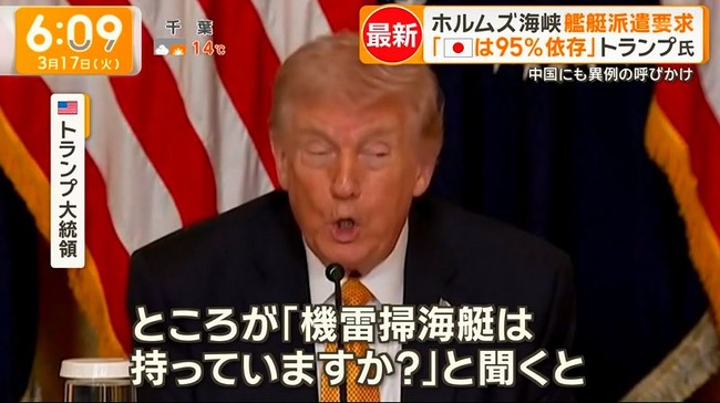 トランプ大統領 ホルムズ海峡 艦船派遣 日本 韓国 ドイツ 対応 不満に関連した画像-04