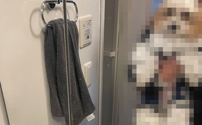 犬　写真　雪　毛玉　雪玉に関連した画像-01