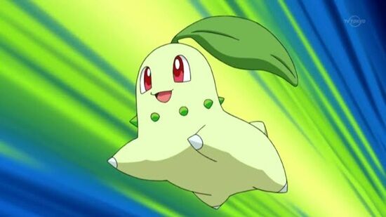 チコリータ 嫌い アンチ 理由 解像度 大学 後輩 サークル あざとい ポケモンに関連した画像-01
