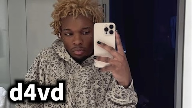 ����ꥫ d4vd ��� ���쥹�� ���� ���ΰ�� ���Ǥ˴�Ϣ��������-06