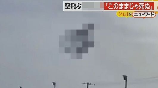 はしご　東名高速道路　トラック　ドライブレコーダーに関連した画像-01