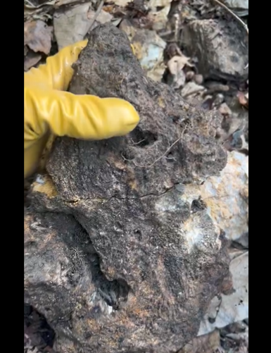 ���ܡ��С���롡���᥸���ȡ�Ǿ�������˴�Ϣ��������-02