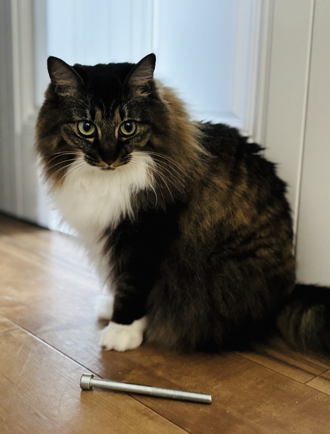 ͥȶ񡡥ͥ˳̣ǭΤ˴Ϣ-02