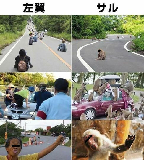 ひろゆき 玉城デニー 沖縄 辺野古 基地移設 左翼 座り込みに関連した画像-03