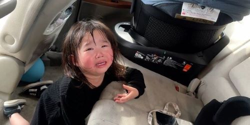 ラウなのファミリー　虐待　動画　子供　車　閉じ込め　炎天下　娘　活動再開に関連した画像-01