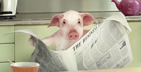 img_430010_10445742_1