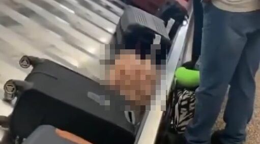 海外 空港 ベルトコンベア 鶏肉 不気味に関連した画像-01