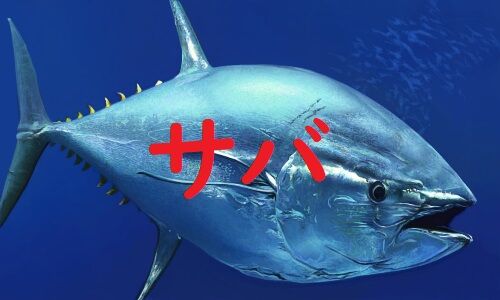 無印　まぐろ　さば　水煮　回収に関連した画像-01