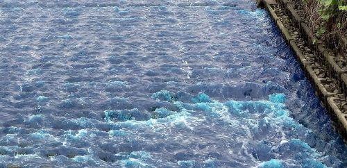奈良県生駒市　青　川　汚染　環境　に関連した画像-01