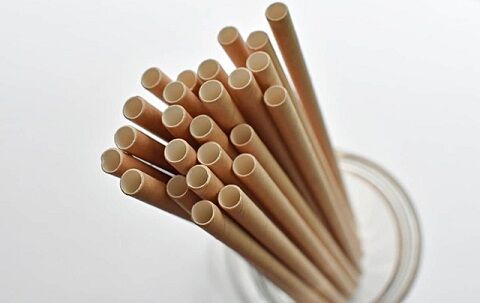 紙ストロー　脱プラスチック　エコ　マクドナルド　廃止　スターバックスに関連した画像-01