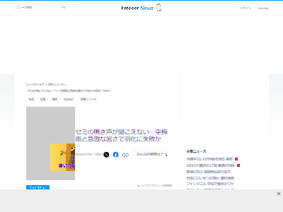 �桡���ߡ�����������Խ롡�߱��˴�Ϣ��������-02