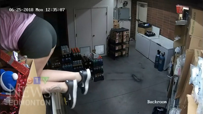 強盗 おバカ メタルギアソリッド MGS BGM ベストマッチに関連した画像-03