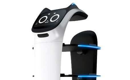 配膳　猫　ロボット　渋滞　飲食店に関連した画像-01