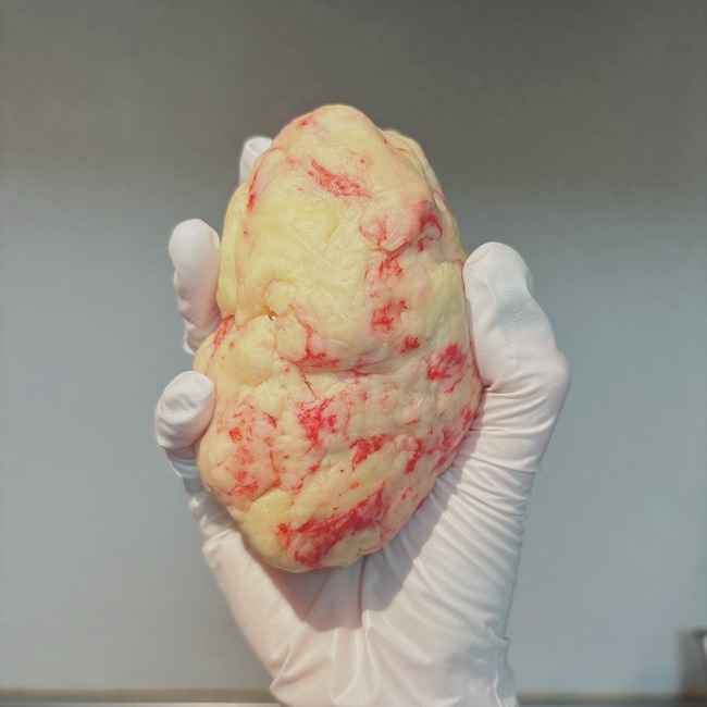 ¡��������󡡿��ȡ��ԥ󥯡����ʡ��Ϻ������˴�Ϣ��������-02