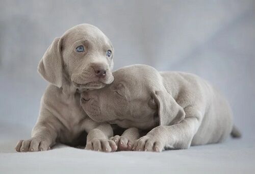 �����磻�ʥޥ顼�����ʧ����˽�ԡ��³ڻ�˴�Ϣ��������-03