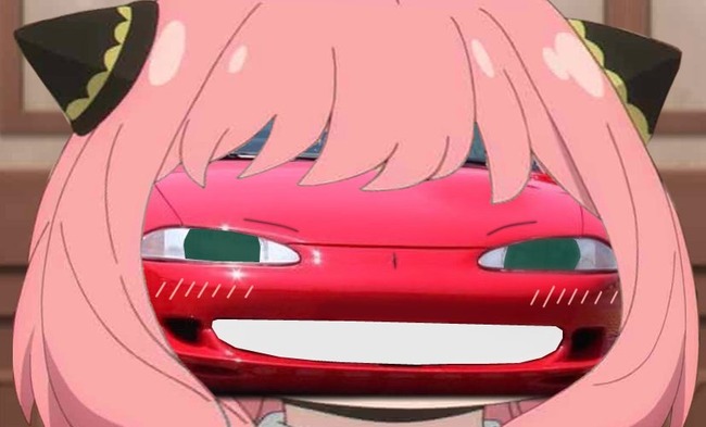 ���ѥ��ե��ߥ꡼ �����˥� �������饦�� �� ��ݤ˴�Ϣ��������-04