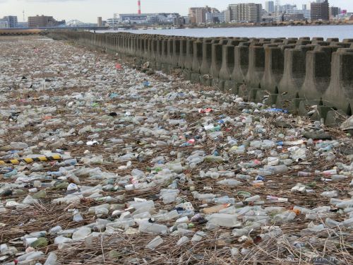 川　教科書　不法投棄　大学生　ゴミに関連した画像-01