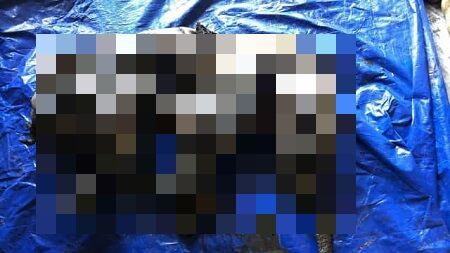 マンモス 氷河期 永久凍土 カナダ ミイラに関連した画像-01