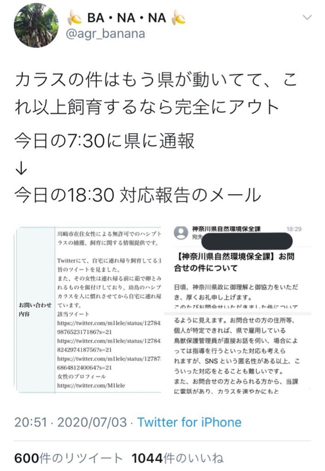 ���饹 ���� ���� Ͷ�� �ĥ��å��� �� ���˴�Ϣ��������-08