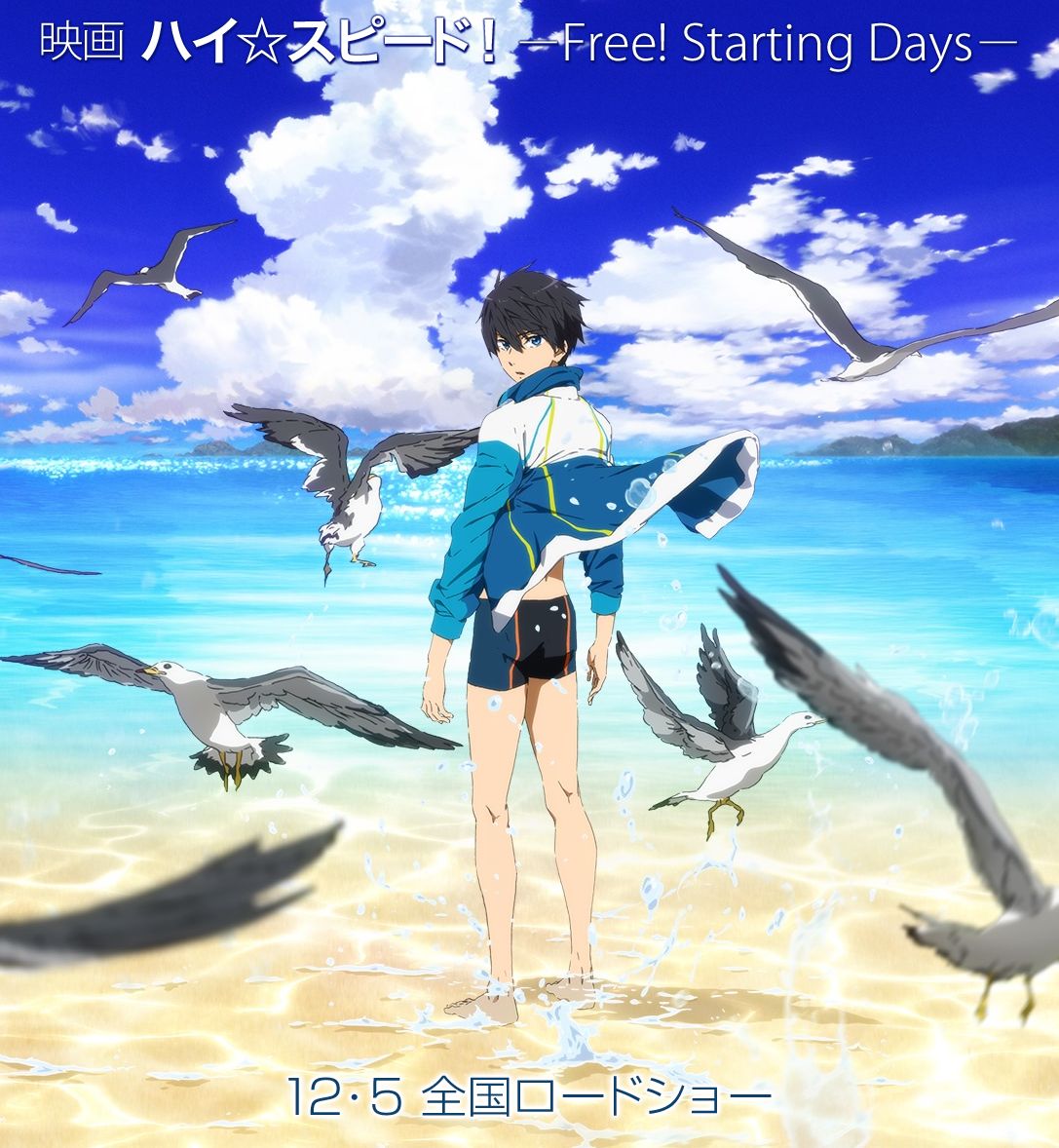「Free!」中学生編、映画『ハイ☆スピード』のスタッフが公開! 監督はTV版の内海紘子さんから武本康弘さんに交代!