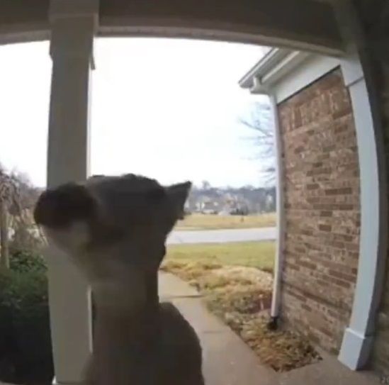 �ԥ�ݥ���å��� �ȿ� ���˴�Ϣ��������-04