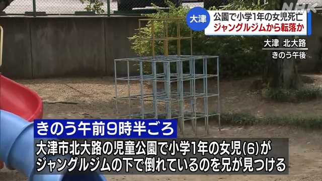 17歳兄 6歳妹 殺害 ジャングルジム 偽装に関連した画像-01