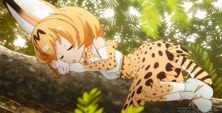 けものフレンズ ニコニコ動画 1話 再生数に関連した画像-01