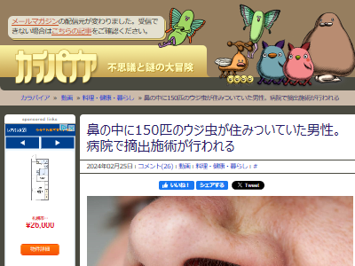 ����ꥫ ���� ɡ�� �±� �ǻ� ɡ ���� ������ ȯ�� Ŧ�м�Ѥ˴�Ϣ��������-02