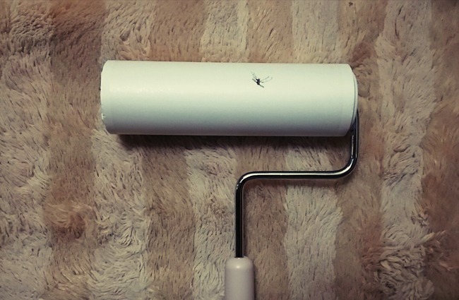 �� �������� �٤� �к� �༣�˴�Ϣ��������-02