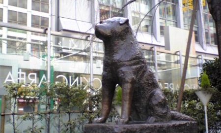ハチ公 再会に関連した画像-01