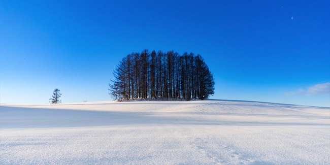 美瑛の丘　北海道　観光客　映えスポット　ゴミに関連した画像-01