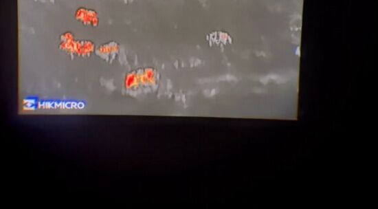 ���㡼�ʥꥹ�� ���� ��ƦȪ �����⥰��ե��� ���Υ��� ���� �����˴�Ϣ��������-02