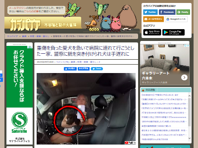 �������Ρ����ԡ��ɰ�ȿ���ѥȥ�������������̡�ưʪ��ưʪ�±��˴�Ϣ��������-02