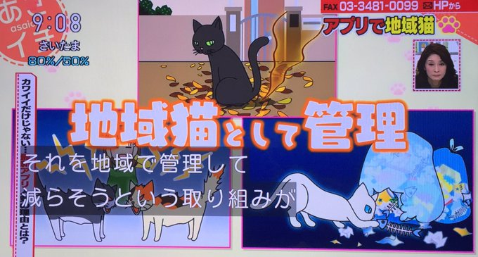 猫の糞夕被害に悩まされたから毒餌をやる人に同情する お前らどう思う オレ的ゲーム速報 刃 猫の糞夕被害に悩まされたから毒餌をやる人に同情する お前らどう思う オレ的ゲーム速報 刃