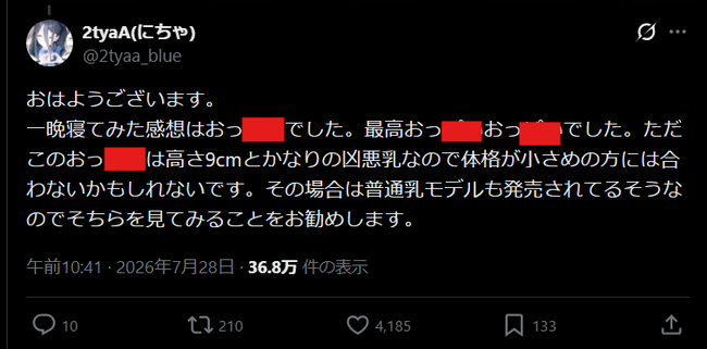 ヒツジのいらない枕 感触 寝具 寝心地 に関連した画像-04